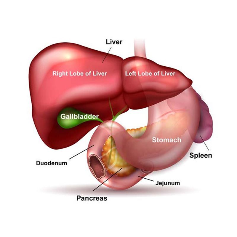 Symptoms of Pancreatic Cancer