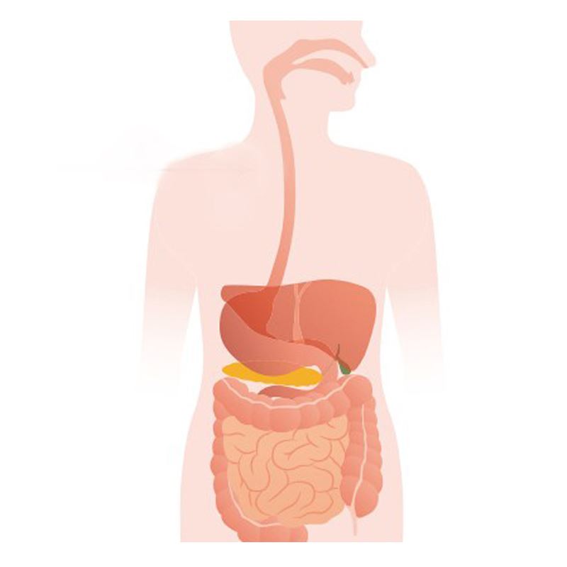 Esophageal Cancer Basis