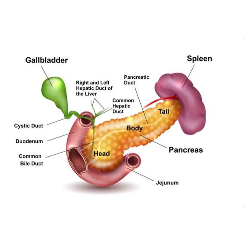 Risk factors for Pancreatic Cancer